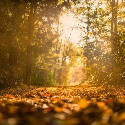 安博体育最新登录地址