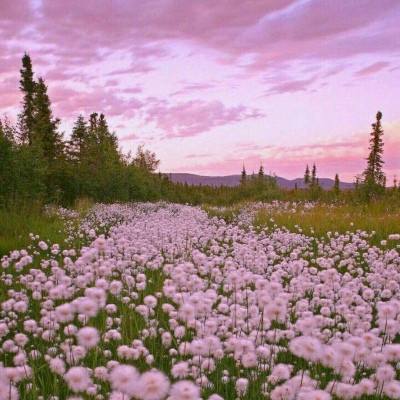 大众彩票用户登录注册