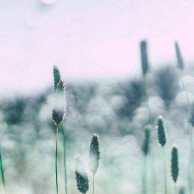 42982金牛网论坛